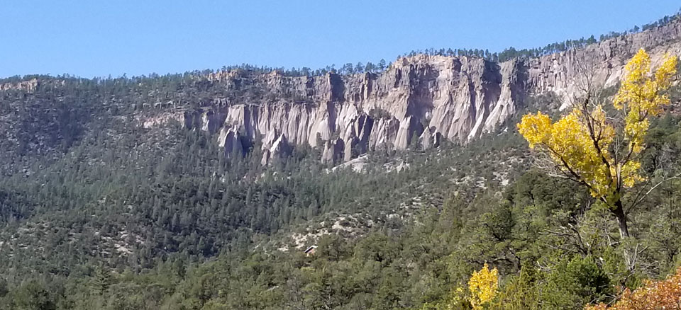A view of volcanic cliffs rising above aspens changing color in the Jemez Mountains