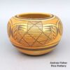 Elva Nampeyo, leho2h291, Polychrome jar with geometric design and fire clouds