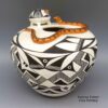 Eva Histia, plac2k149, Polychrome jar with geometric design and applique turtle