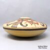 James Nampeyo, rwho0k174: Polychrome jar with bird element and geometric design - Image 4